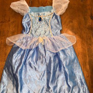Disney Cinderella Costume